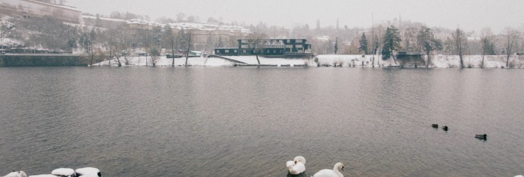 Czech Yacht Club